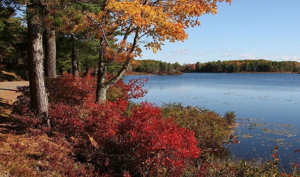 Gear Up for Higher Prices at Acadia National Park This Spring
