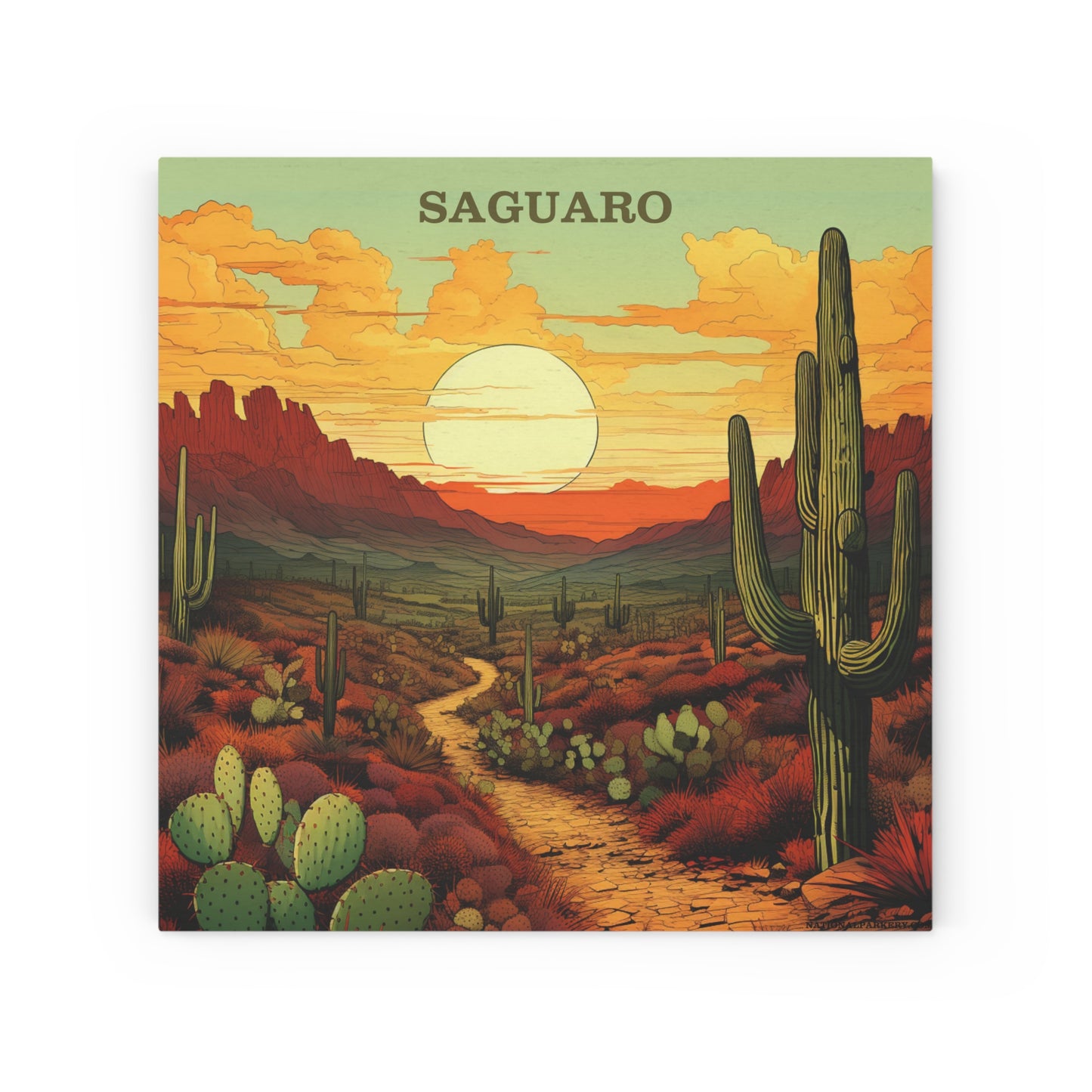 Saguaro National Park Wood Canvas